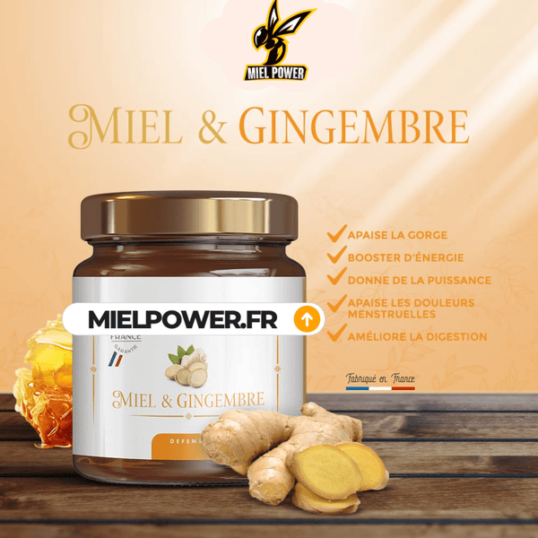 MIELPOWER GIMGEMBRE - L'expert N°1 des Boosters Gourmands