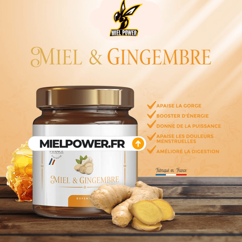 MIELPOWER GIMGEMBRE - L'expert N°1 des Boosters Gourmands